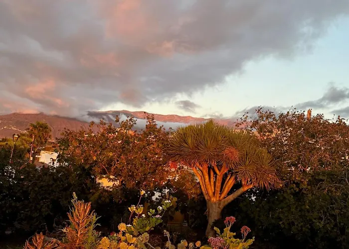 Zen Ocean View House Tenerife Semesterbostad