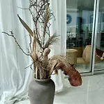 Zen Ocean View House Tenerife בית נופש לוס ריאלחוס