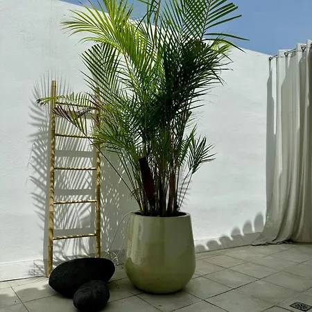 Ferienhaus Zen Ocean View House Tenerife