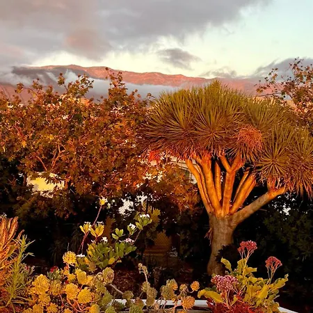 Zen Ocean View House Tenerife Ferienhaus