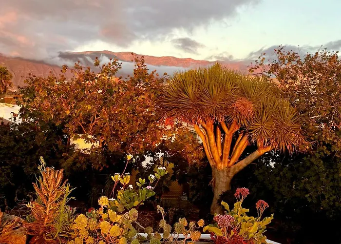 Zen Ocean View House Tenerife Сasa de vacaciones